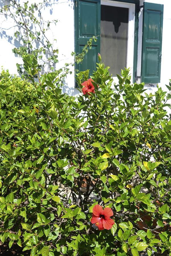 Villa Anesis Spetses Town Екстер'єр фото